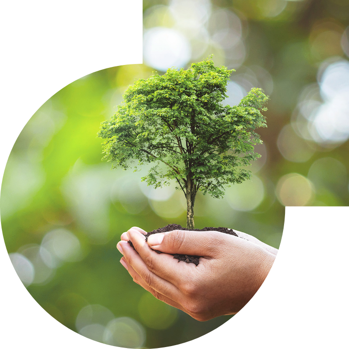 關懷人類、文化、環境與社會